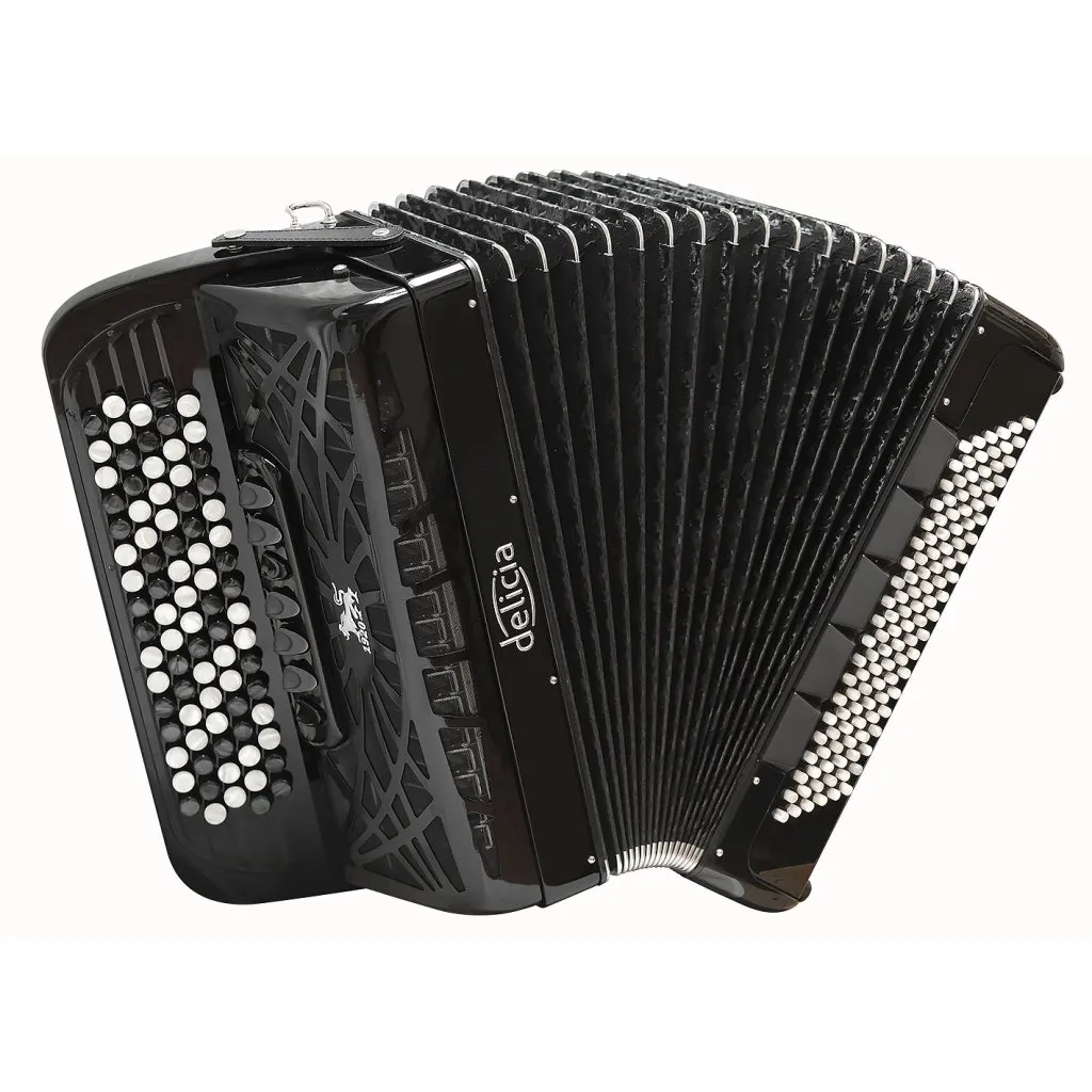 Schwarz Akkordeon Komplett