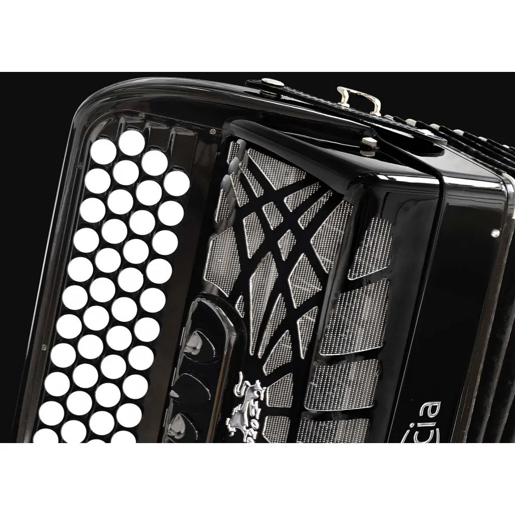 Schwarz Akkordeon Detail